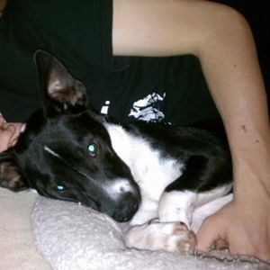 Meet your Posher, Gray